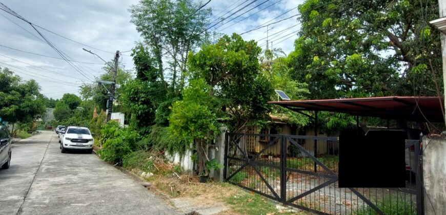 Lot For Sale In Paranaque