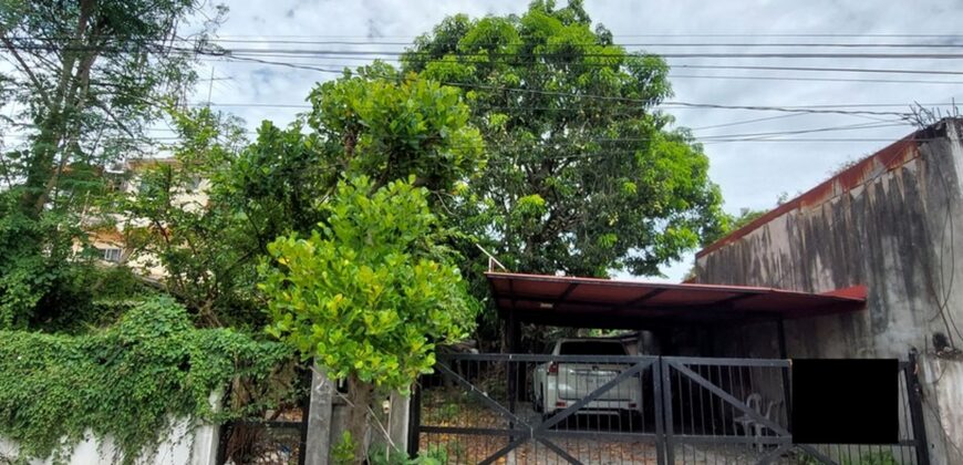 Lot For Sale In Paranaque