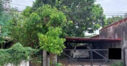 Lot For Sale In Paranaque