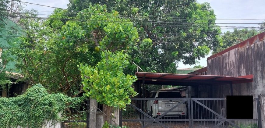 Lot For Sale In Paranaque