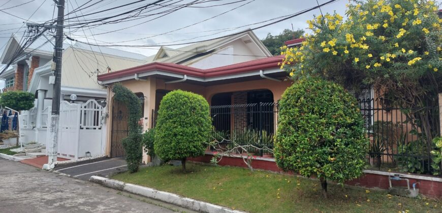 Beautiful 2 storey House and Lot For Sale In Paranaque