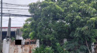 House And Lot For Sale In Paranaque