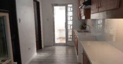 Brand-new Townhouse for sale in Pilar Village
