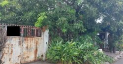 House And Lot For Sale In Paranaque