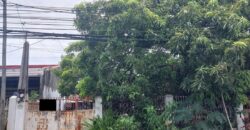 House And Lot For Sale In Paranaque