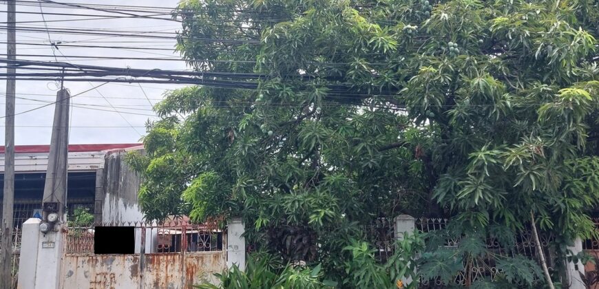 House And Lot For Sale In Paranaque