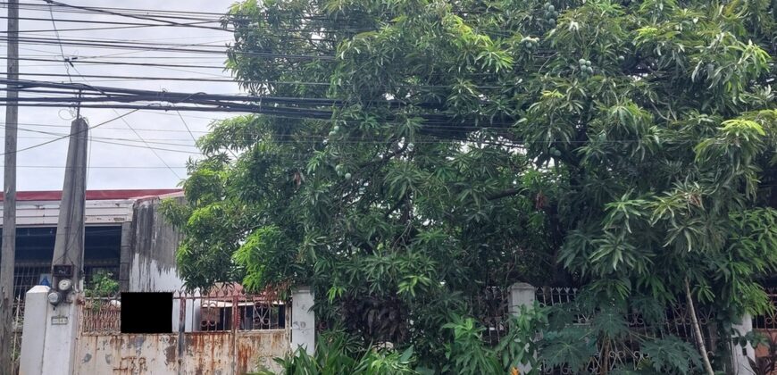 House And Lot For Sale In Paranaque