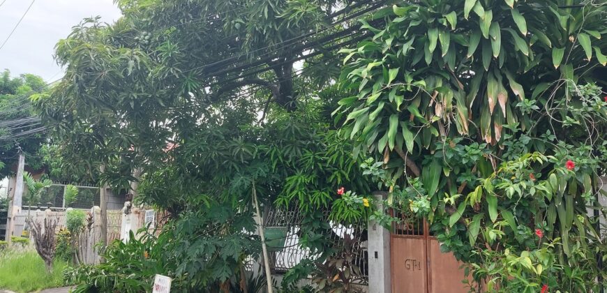 House And Lot For Sale In Paranaque