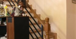 2 Story House And Lot For Sale In Paranaque