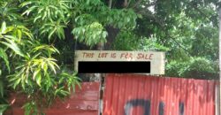 Lot For Sale In Paranaque