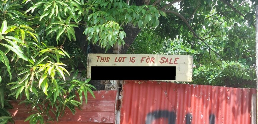 Lot For Sale In Paranaque