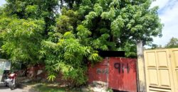 Lot For Sale In Paranaque