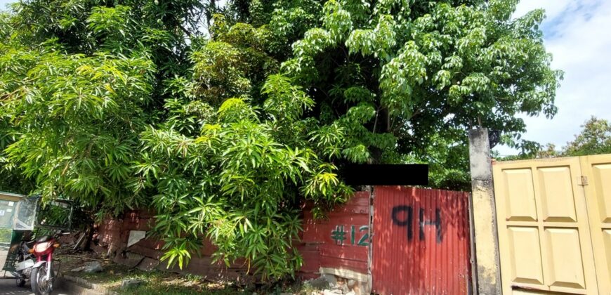 Lot For Sale In Paranaque