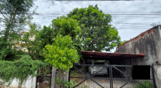Lot For Sale In Paranaque
