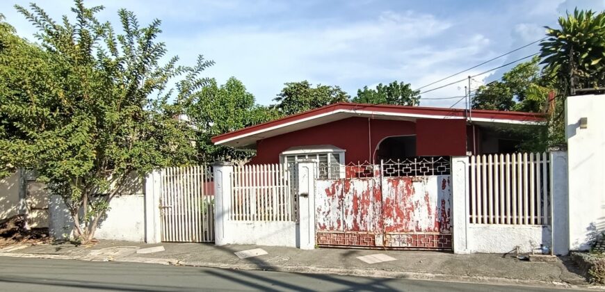 Bungalow House For Sale in Pilar Village, Las Pinas