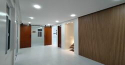 Bright and Modern New House For Sale in BF Paranaque