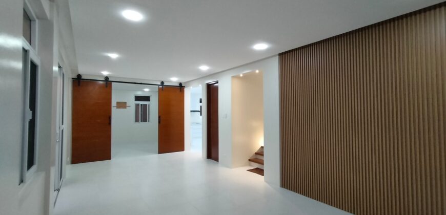 Bright and Modern New House For Sale in BF Paranaque