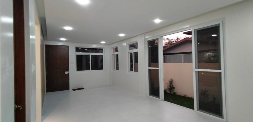 Bright and Modern New House For Sale in BF Paranaque
