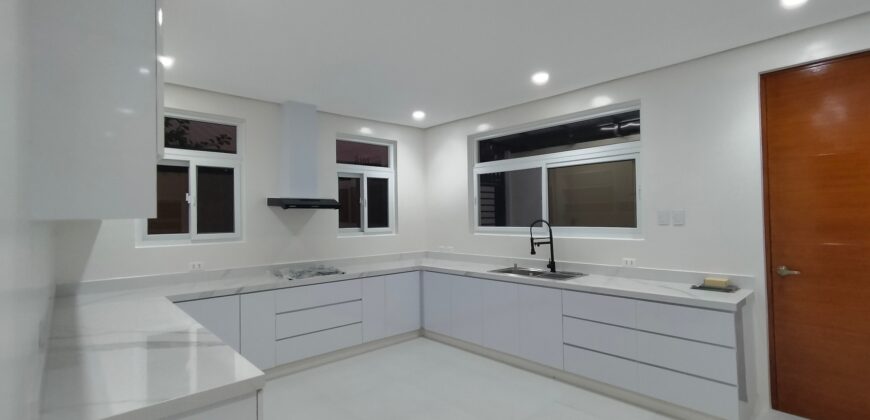 Bright and Modern New House For Sale in BF Paranaque