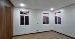 Bright and Modern New House For Sale in BF Paranaque