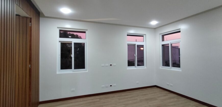 Bright and Modern New House For Sale in BF Paranaque
