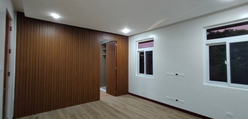 Bright and Modern New House For Sale in BF Paranaque