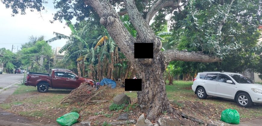 Corner Lot For Sale In Ayala Alabang Village