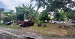 Corner Lot For Sale In Ayala Alabang Village