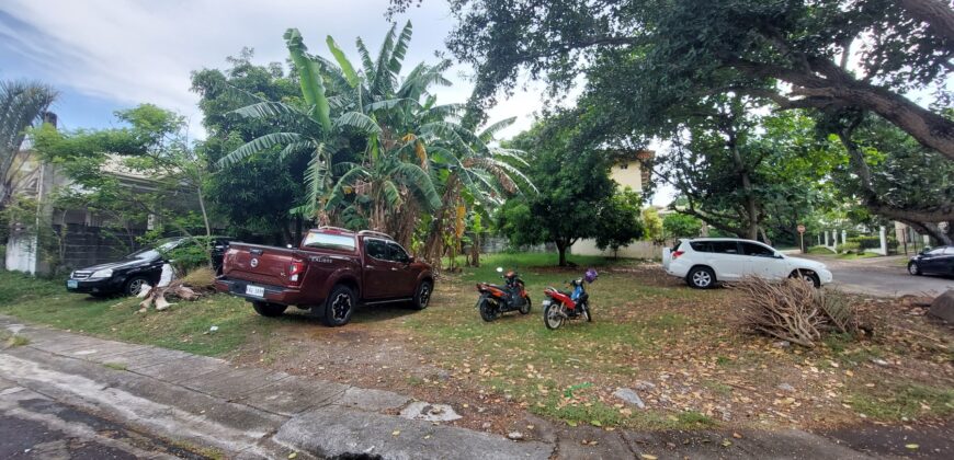 Corner Lot For Sale In Ayala Alabang Village