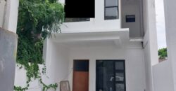 Brandnew House And Lot For Sale In Paranaque