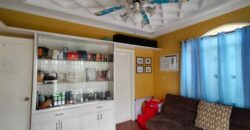 Massive Corner House for Sale in BF Homes Paranaque
