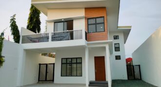 Newly Built House in BF Homes Paranaque for Sale