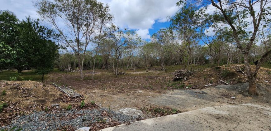 Mango Farm Lot for Sale in Brgy. Libato San Juan Batangas