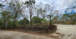 Mango Farm Lot for Sale in Brgy. Libato San Juan Batangas