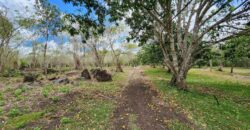 Mango Farm Lot for Sale in Brgy. Libato San Juan Batangas