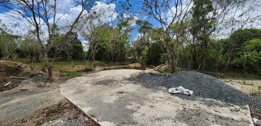 Mango Farm Lot for Sale in Brgy. Libato San Juan Batangas