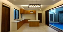 Brandnew 3-Story Modern Houses with Swimming Pool in Merville Paranaque
