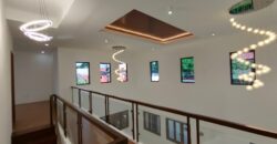 Brandnew Super Bright House in BF Homes Las Pinas