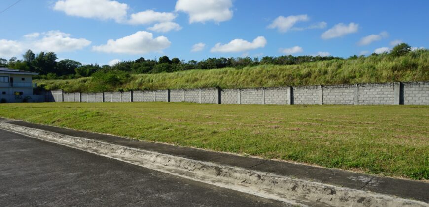 Lot for Sale in Southwoods Residential Estate in Carmona Cavite