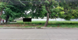 Corner Lot for Sale In Multinational Village Paranaque