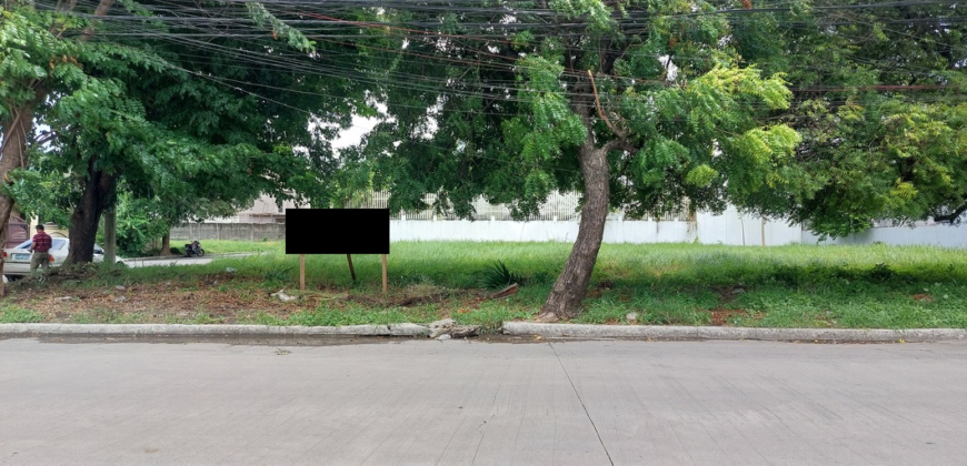 Corner Lot for Sale In Multinational Village Paranaque