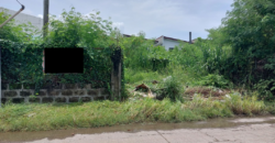 Lot for Sale In Multinational Village Paranaque