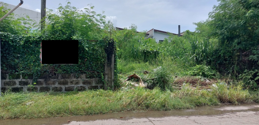 Lot for Sale In Multinational Village Paranaque
