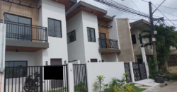 Modern House And Lot For Sale In Las Pinas