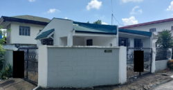 Corner House And Lot For Sale In Paranaque