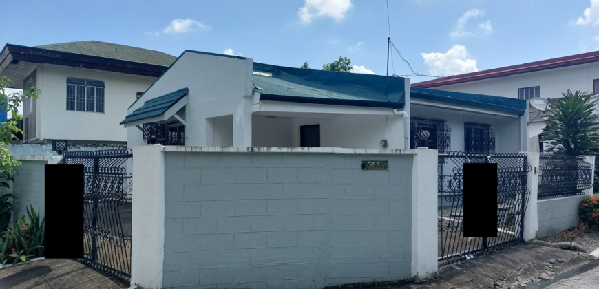 Corner House And Lot For Sale In Paranaque