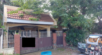 House And Lot For Sale In Severina Paranaque City