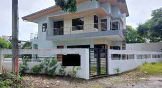 Brand New House And Lot For Sale With Swimming Pool In Multinational Village Paranaque