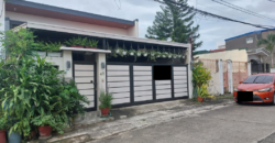 House And Lot For Sale In Pilar Village