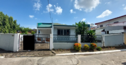 Corner House And Lot For Sale In Paranaque